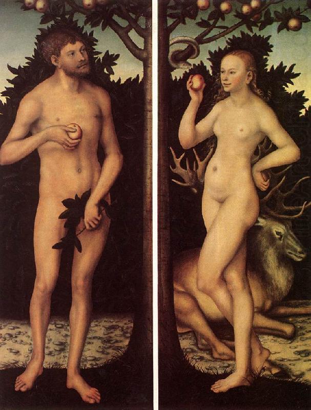 CRANACH, Lucas the Elder Adam and Eve 03 oil painting picture
